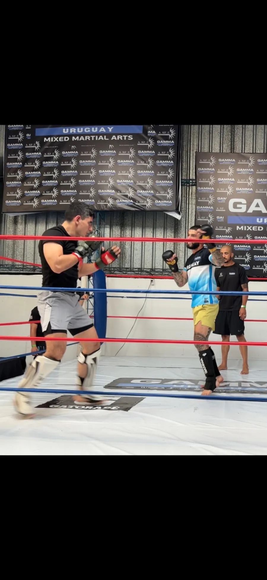 Training martial arts